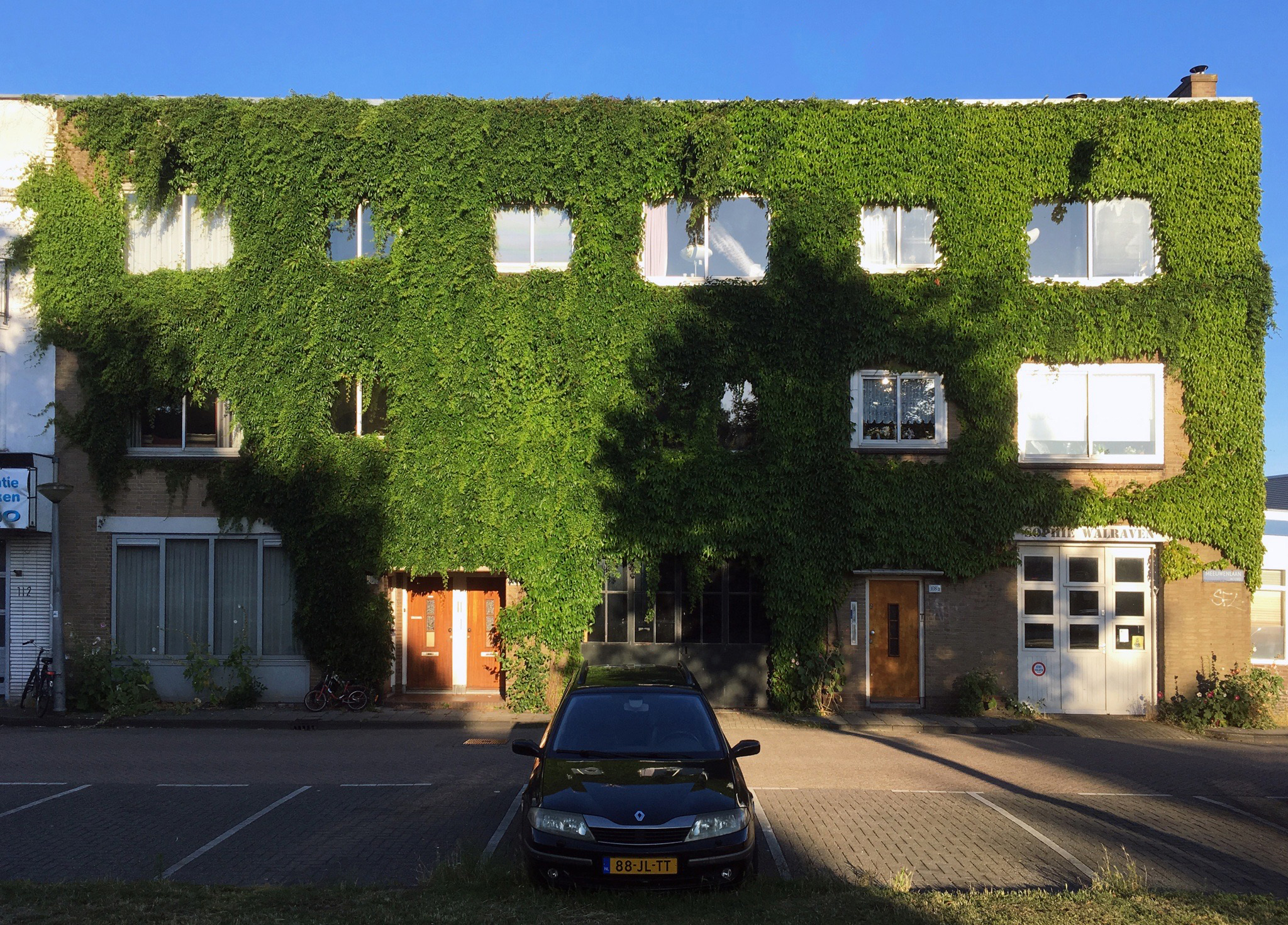 Saskia de Wit, the most beautiful green facade, 