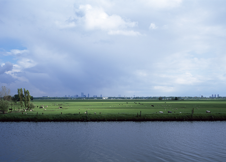 Saskia de Wit, Dutch Lowlands, 
