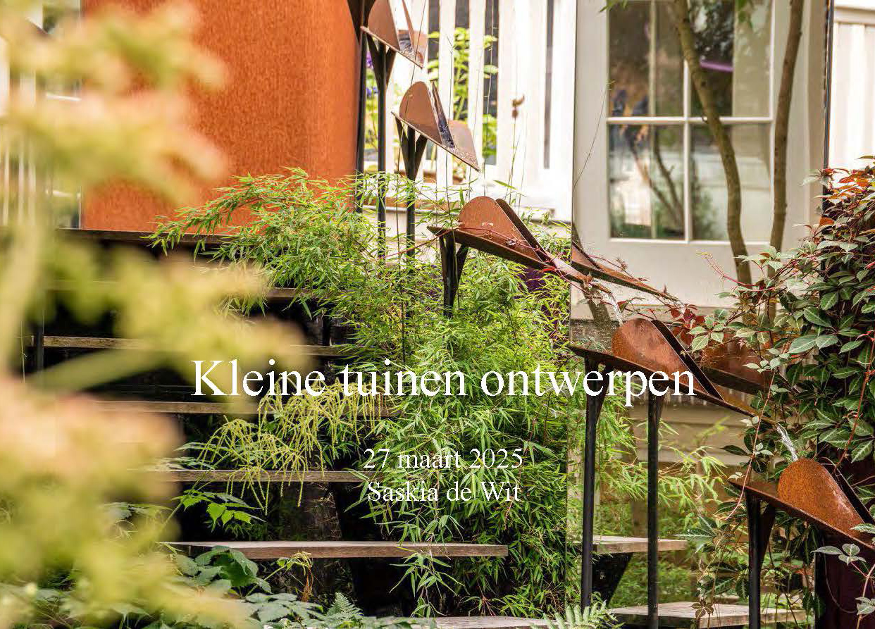 Saskia de Wit, kleine tuinen ontwerpen, 