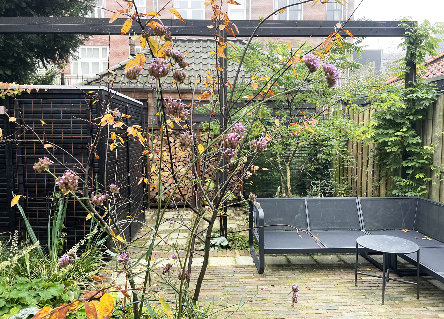 Saskia de Wit, frederik hendrik 75, 