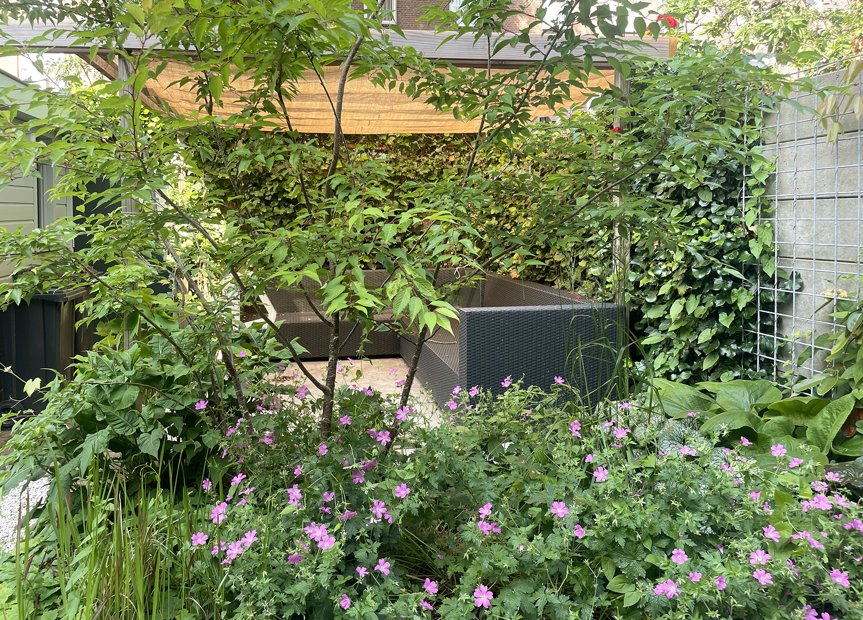 Saskia de Wit, frederik hendrik 53, 