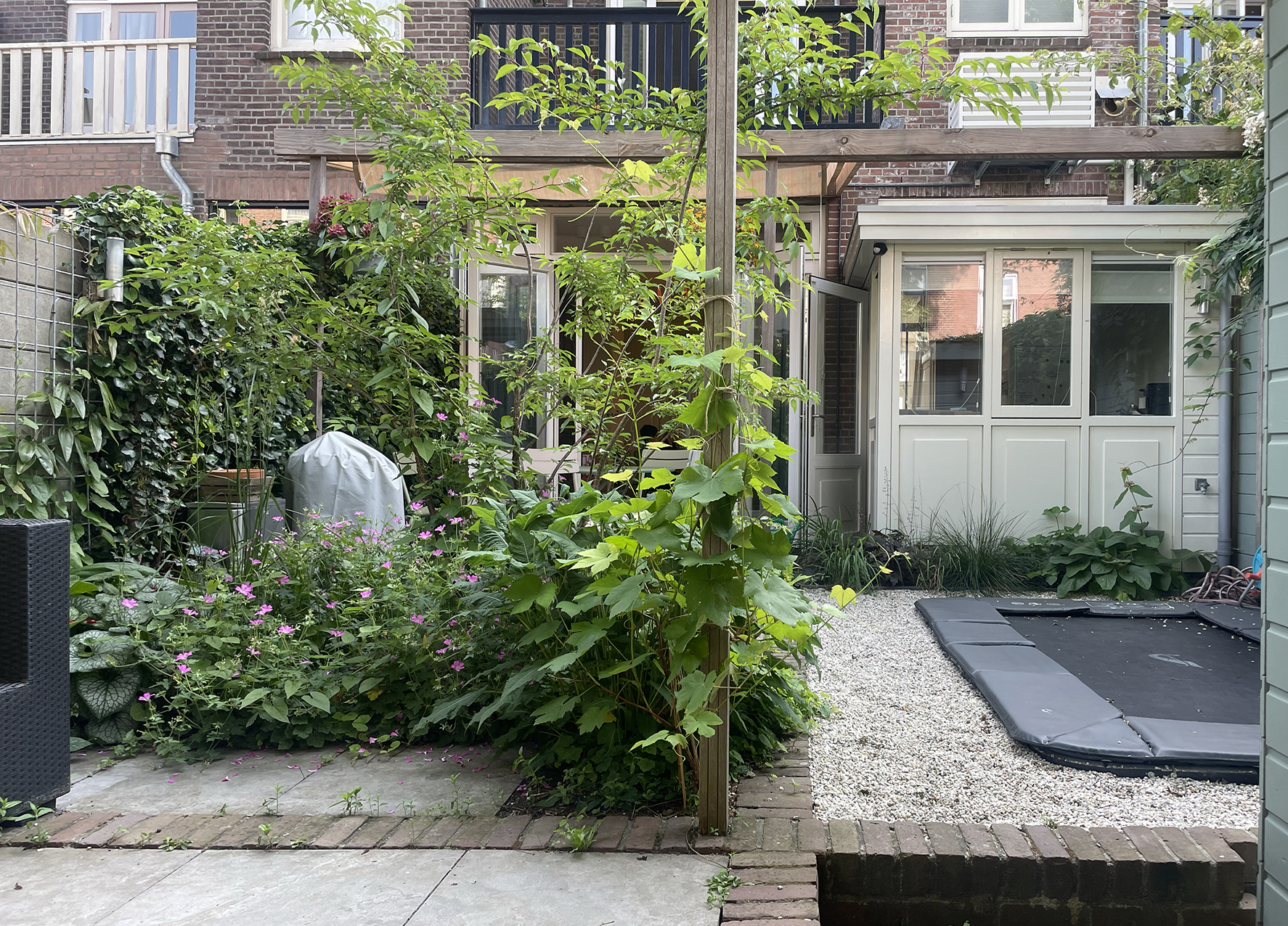 Saskia de Wit, frederik hendrik 53, 